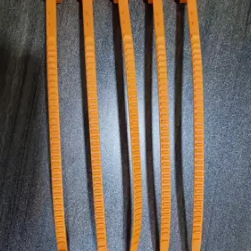 Segel kontainer (4)