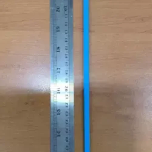 Segel kontainer (5)