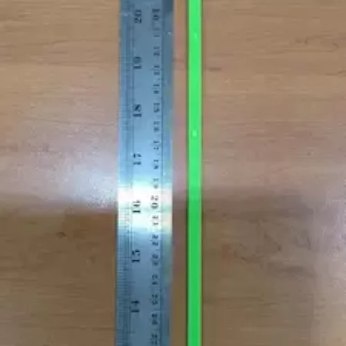 Segel kontainer (6)